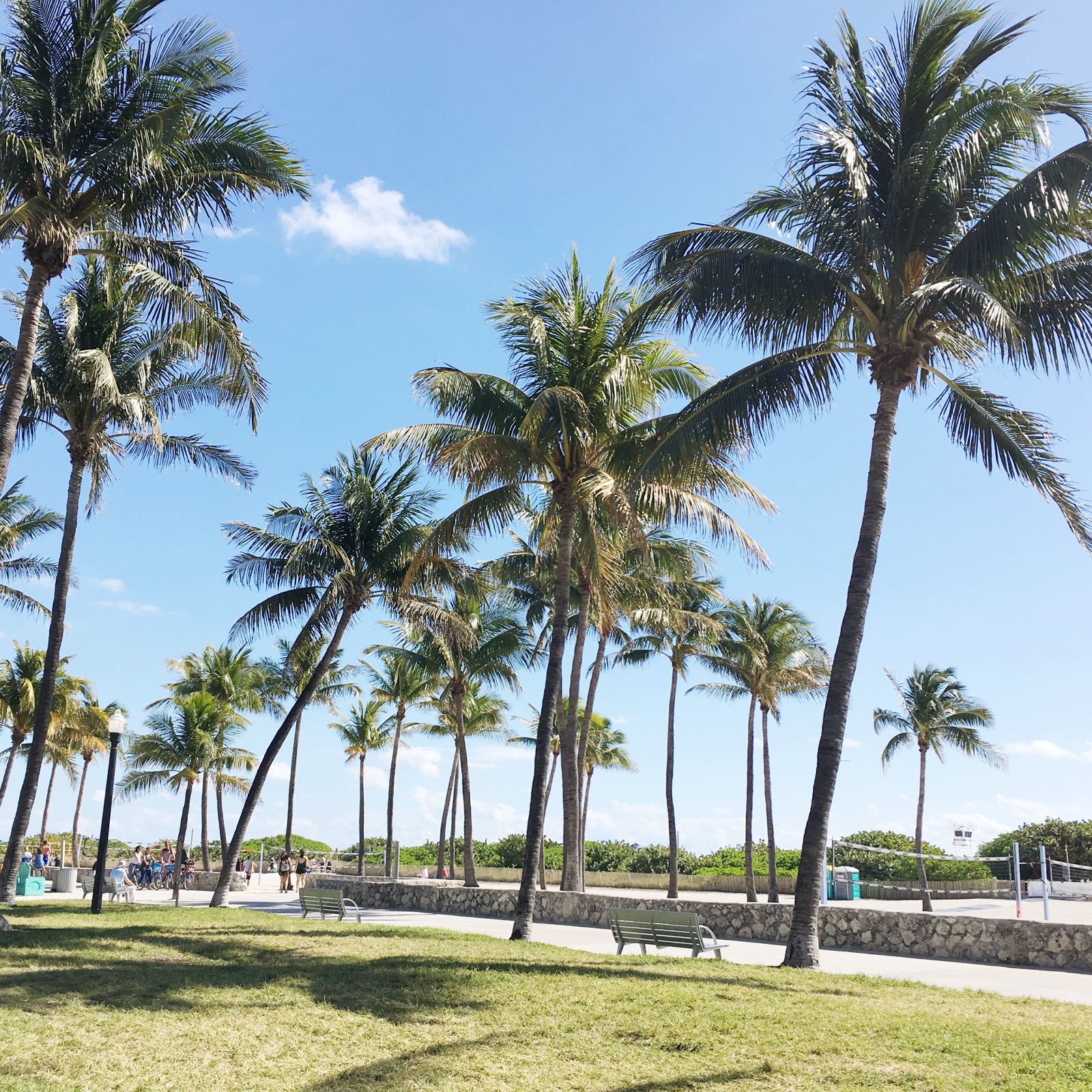 Honeymoon Snaps Our Miami and Caribbean Instagram Adventures New