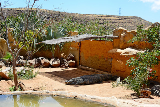 Gran Canaria Parque de los Cocodrilos