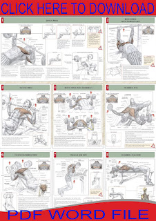 Workout: Chest Workout