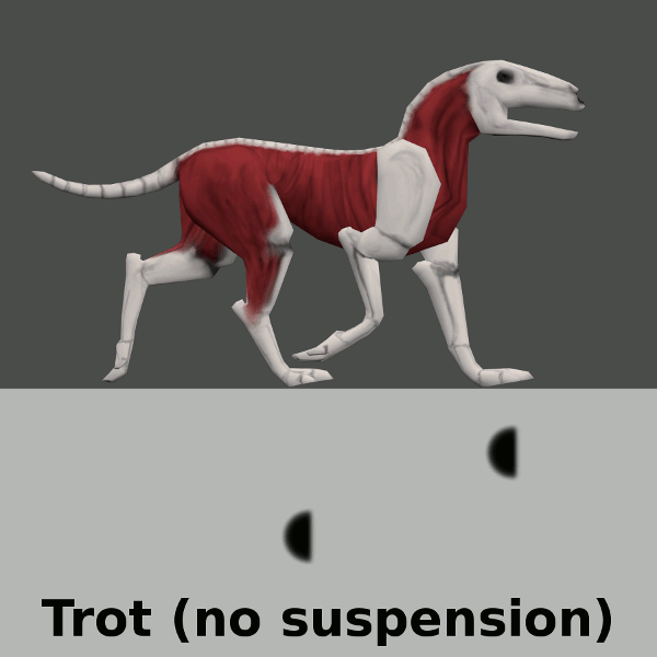 Походка животных. Эдвард майбридж движение кошки. Походка животных. Походка животных. Эдвард мэйбридж движение галопирующей лошади 1872.