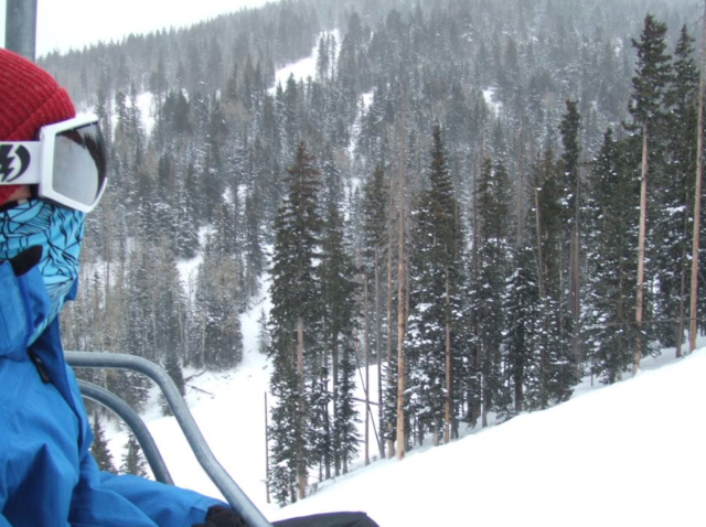 on ski lift over snowy trees