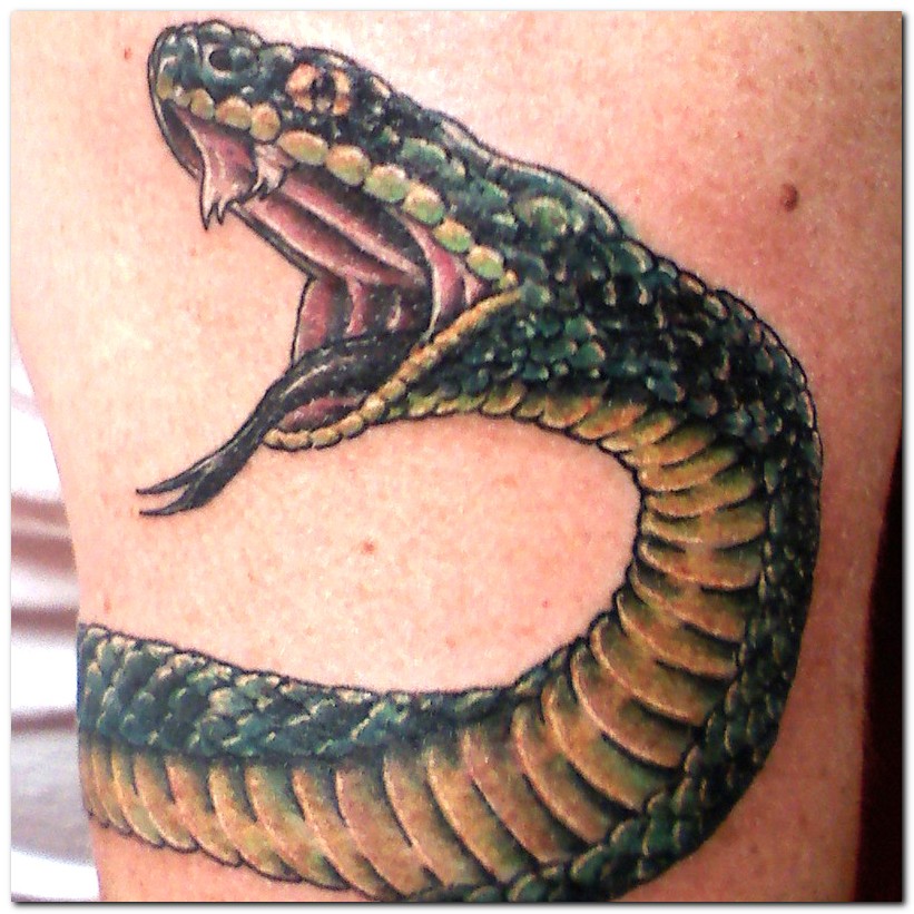 LVMENES Tatuagens de Serpente Snake Tattoos