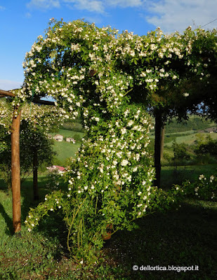 bologna fattoria didattica rose savigno ortica valsamoggia orto 