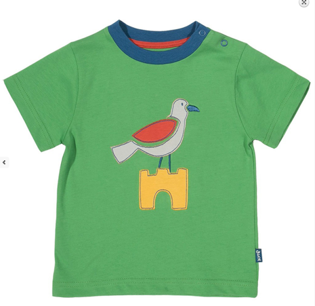 http://www.babysawyer.com/organic-baby-boy-clothes-seagull-t-shirt-kite