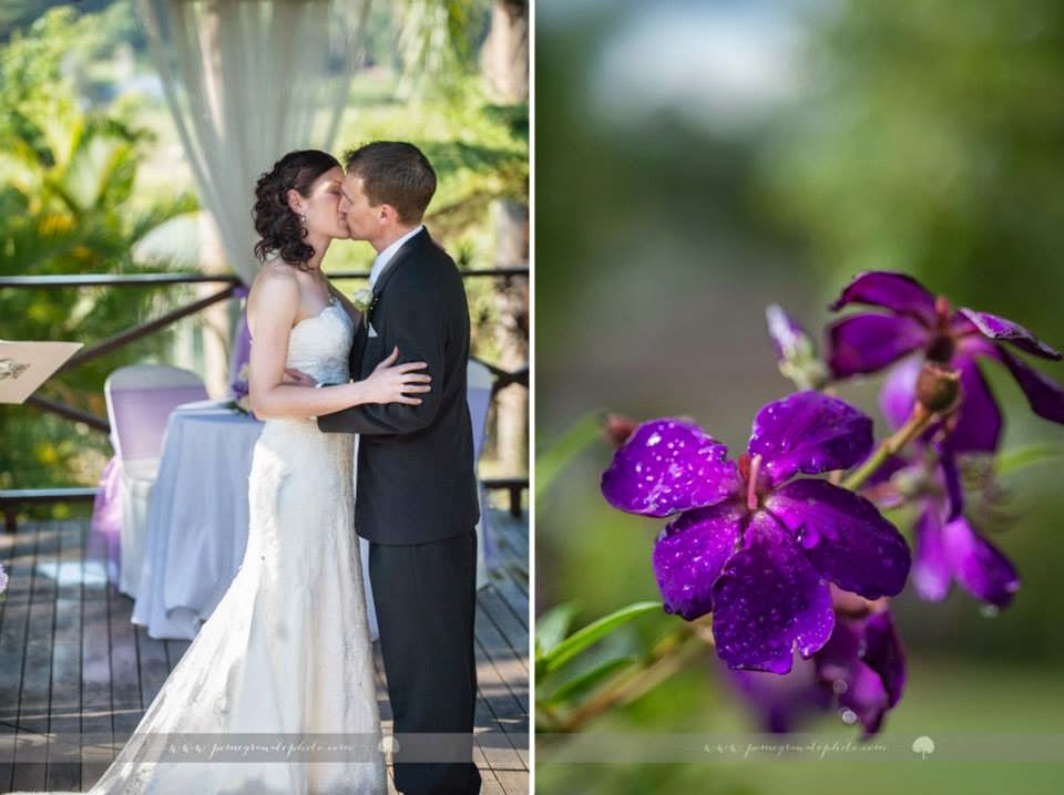 Sunshine Coast CelebrantMichele Collins Clio's On Rosemount Wedding