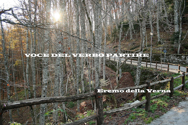 ITINERARIO EREMO DELLA VERNA