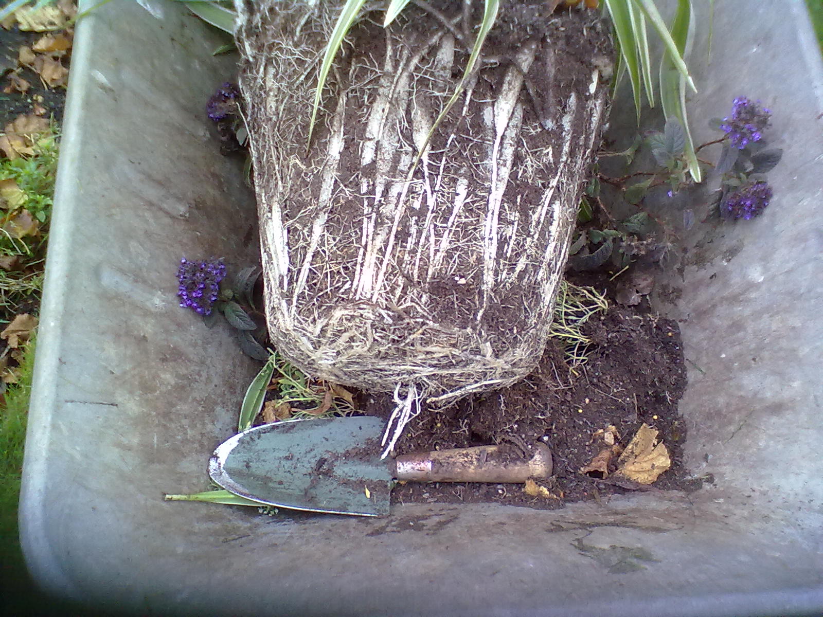 Rachel the Gardener Why put broken crocks in pots?