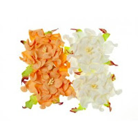 http://www.artimeno.pl/pl/kwiatki/3601-scrapberry-s-gardenia-peach-white-4szt-7cm.html