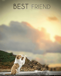 background cb backgrounds editing picsart edits edit photoshop dog manipulation latest wallpapers blur cbeditz please zip downlod poster instagram helps