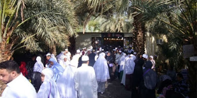 Kebun Kurma Madinah Serta Jenisnya