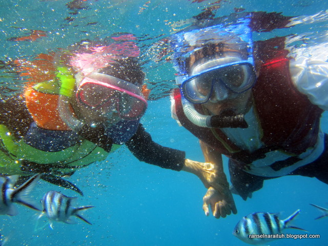 Paket Kacamata  Renang  Selang Selam Snorkeling  Diving  Set 