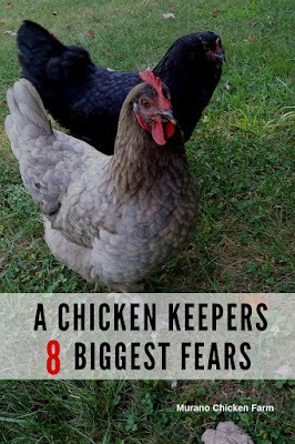 I asked "what worries you the most about your chickens?" and chicken keepers answered! Here's what they had to say...