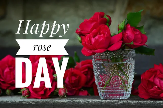Rose day wishes 2019