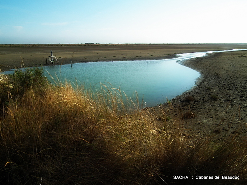 Un jour....Une photo !: septembre 2016
