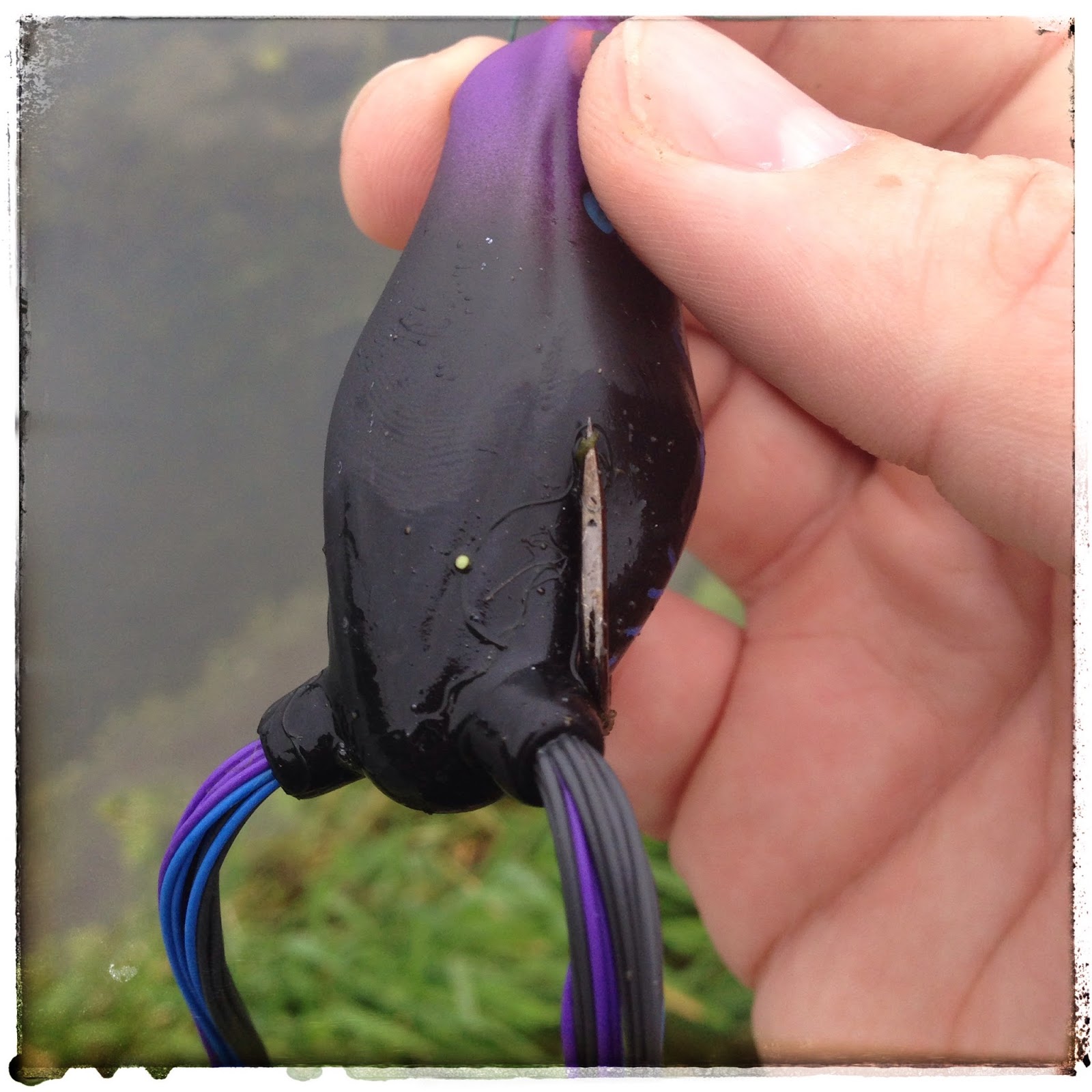 Bass Junkies Frog Pond Reaction Innovation Swamp Donkey Review