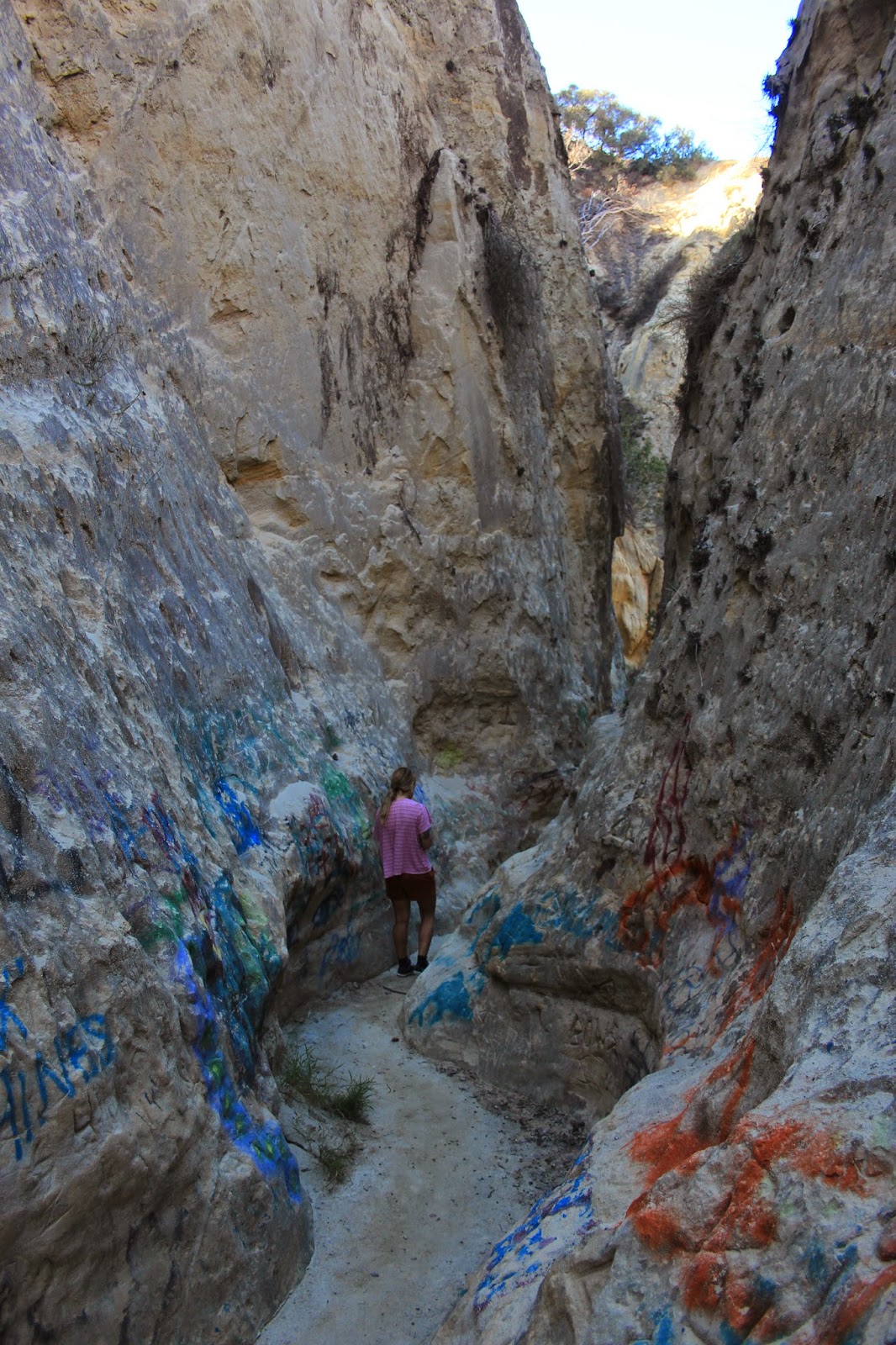 Untamed Escape Secret San Diego Mushroom Caves
