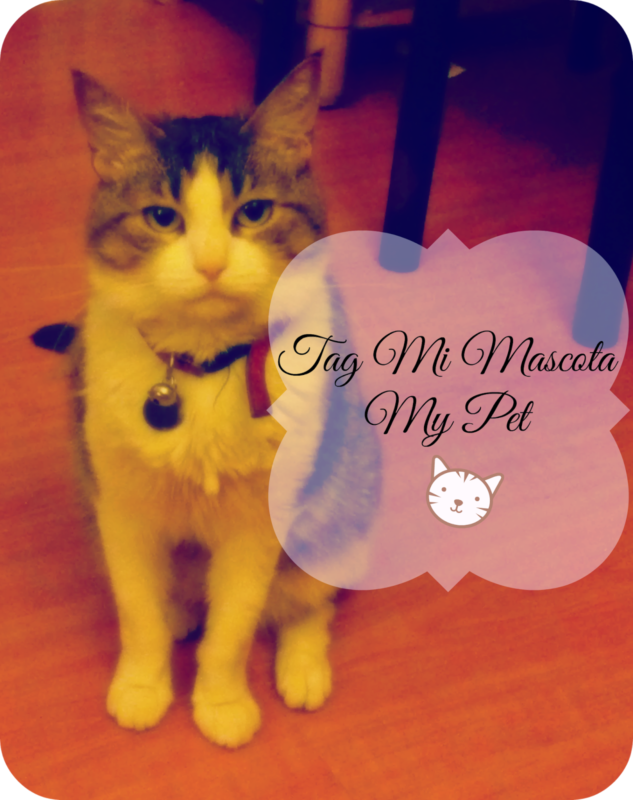 [Tag] Mi mascota / My Pet ^^ Korean Beauty Dream