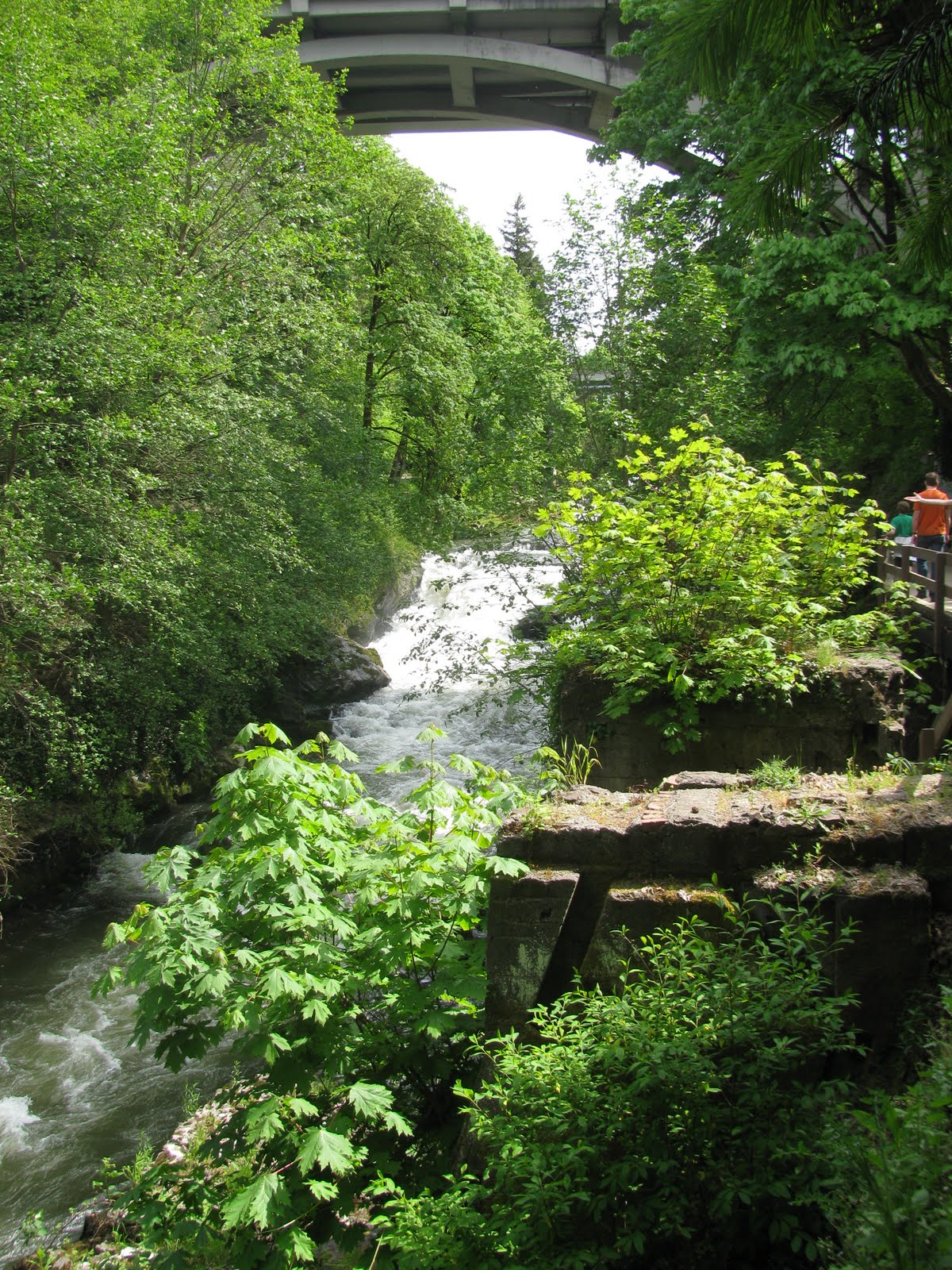 Beautiful Washington State Tumwater Falls Park (Tumwater, WA)
