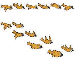 flying animation bird birds frames poses google reference practice march initial smaller rough sketches partir guardado