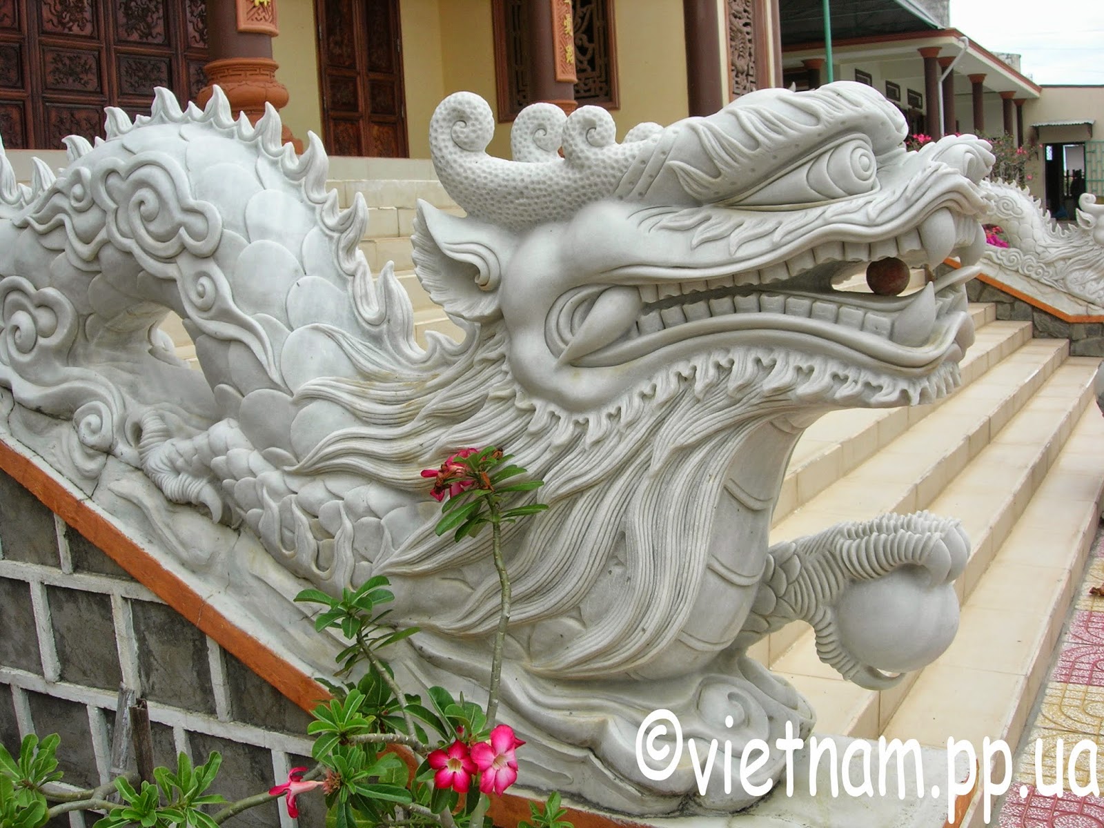 Вьетнамский дракон