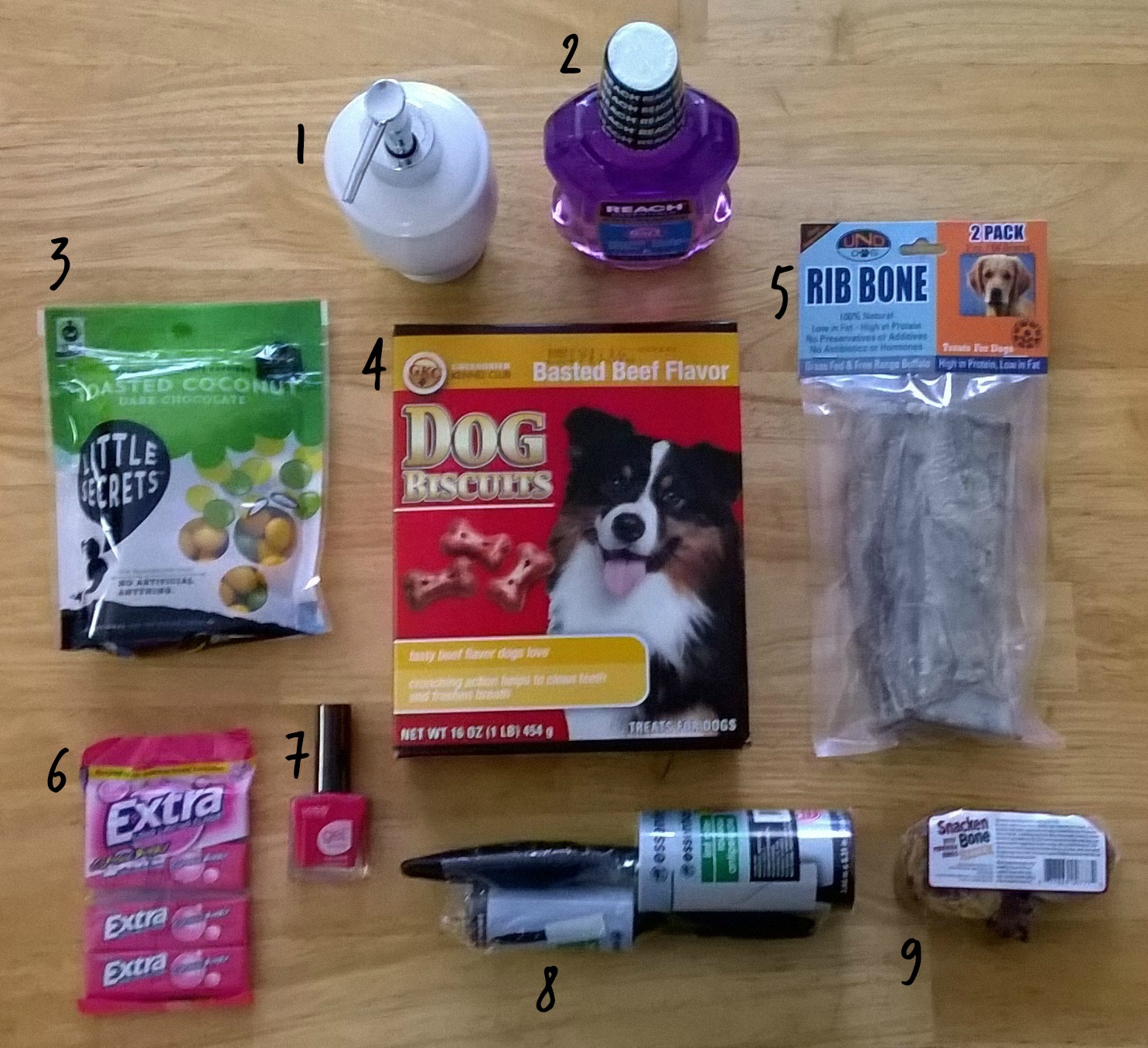 dollar store dog bones