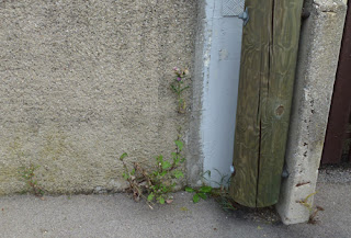 Rike S Art Wunder Der Natur