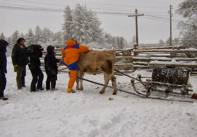 أبرد مكان على وجه الأرض