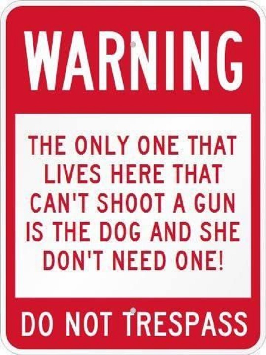 Funny and Crazy Gun Signs