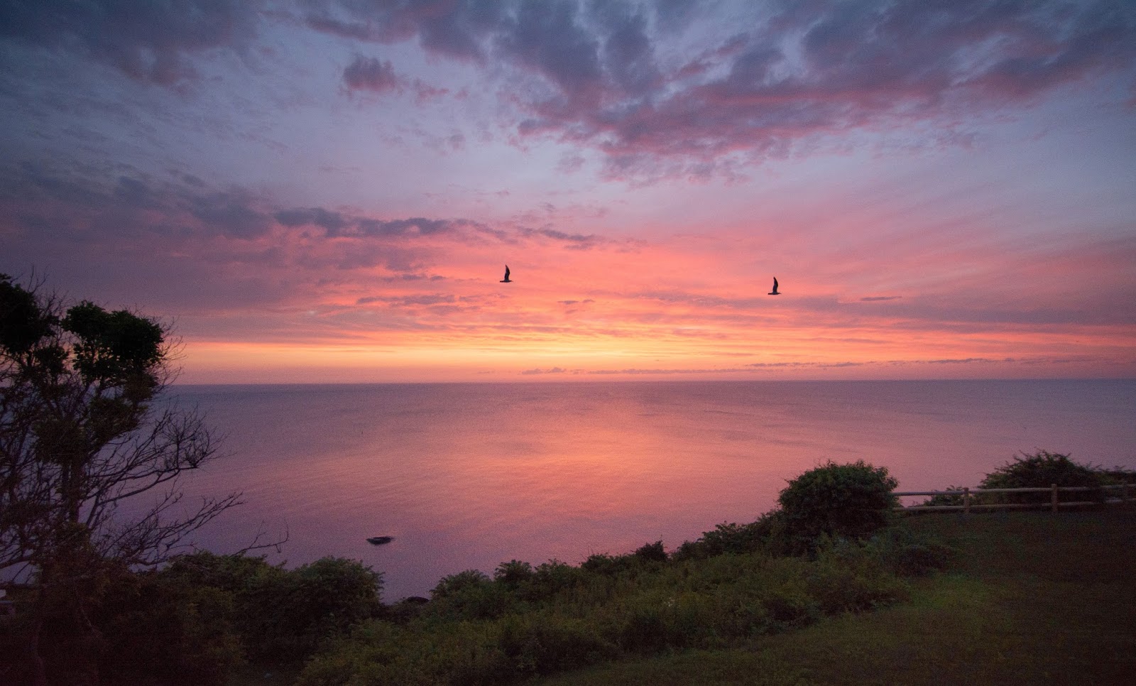 Carol's View Of New England Priscilla Beach, Plymouth MA
