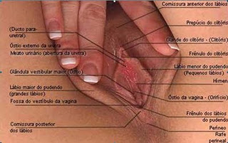 Filmes porno com negao suruba Posicoes de sexo oral em mulher