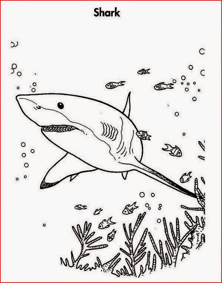 Coloring Pages: Shark Coloring Pages Free and Printable