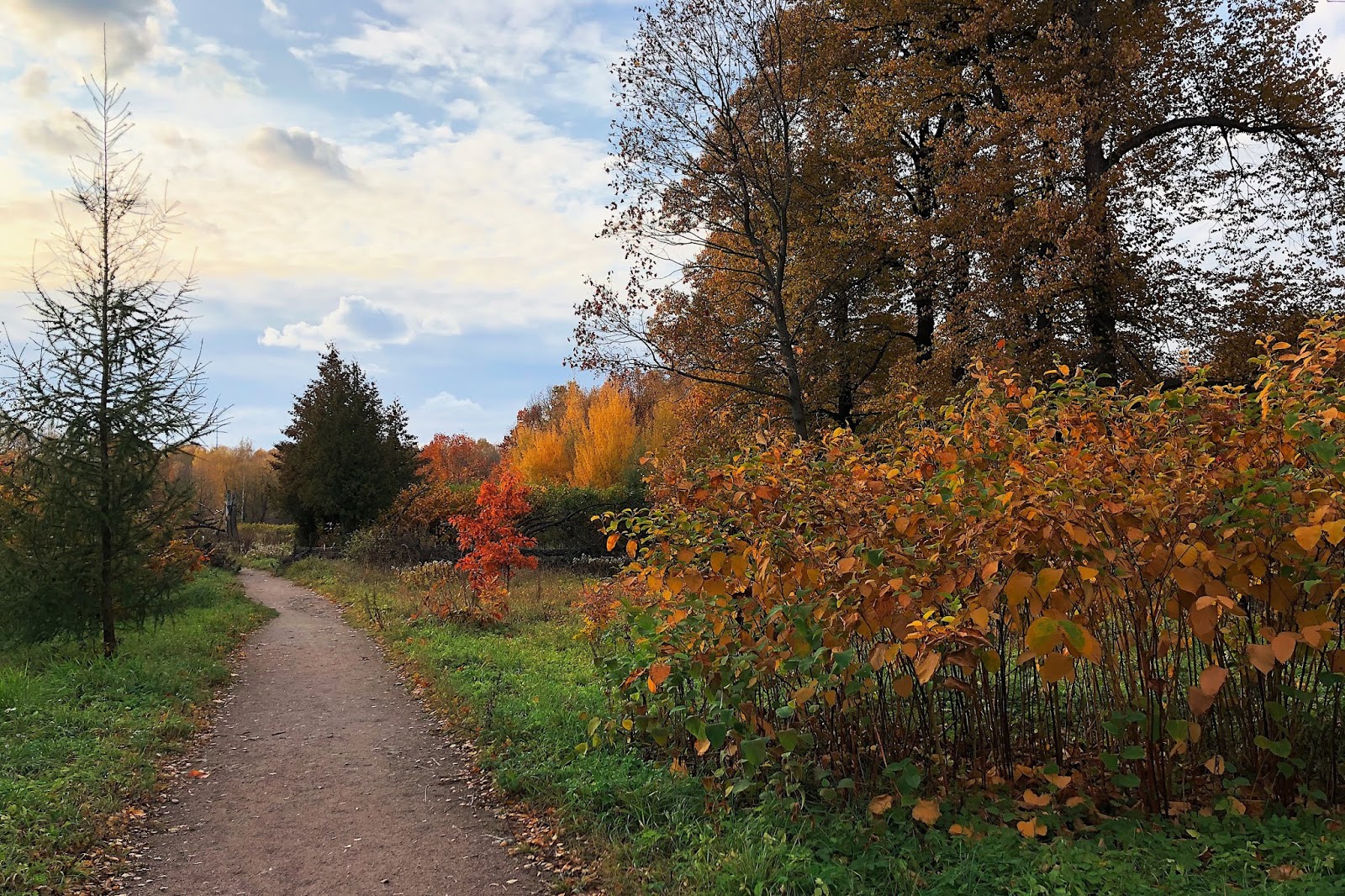 2019: Гольяново – Метрогородок – Лосиный остров