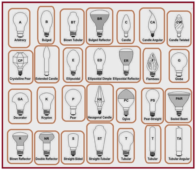 Different Types of Bulbs EEE COMMUNITY