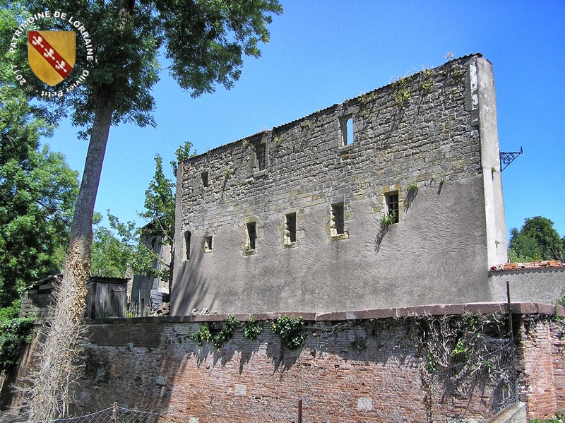 PATRIMOINE DE LORRAINE VICSURSEILLE (57) Château épiscopal