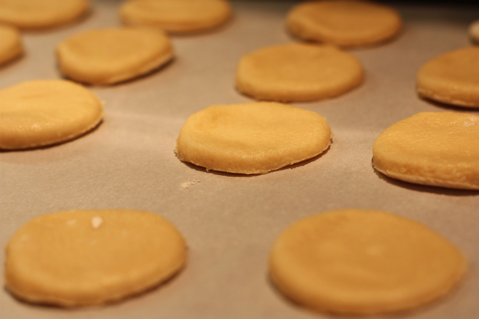 Mrs. Duckie Mexican Biscuit