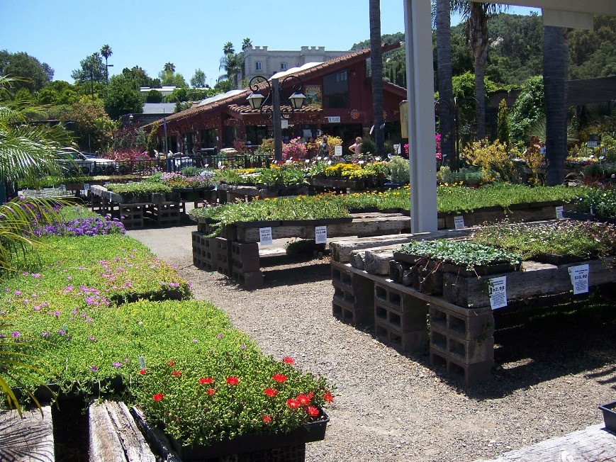 The 2 Minute Gardener Photo Plant World Nursery The 2 minute gardener photo plant world nursery