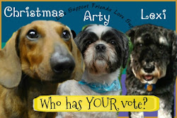 Who has your vote?