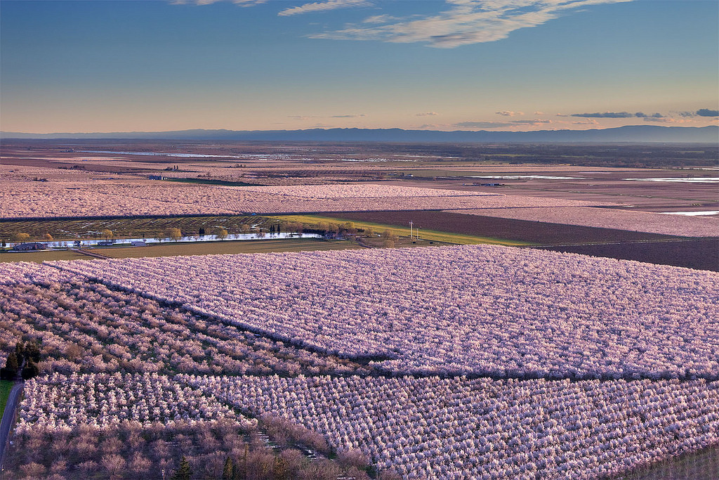 центральная калифорния. долина салинас-валли калифорния. лос-анджелес, калифорния. долина салинас-валли калифорния. лос-анджелес, калифорния.