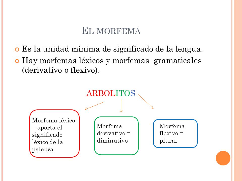 Los Morfemas Martacanalprieto Los Morfemas Martacanalprieto