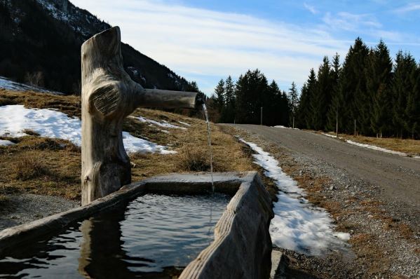 El Don de Buscar Agua