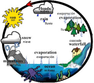 Ciclo de evaporación Dibujo del ciclo de evaporación del agua para niños