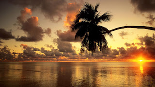 Amazing nature sunset time photos Amazing nature sunset time photos