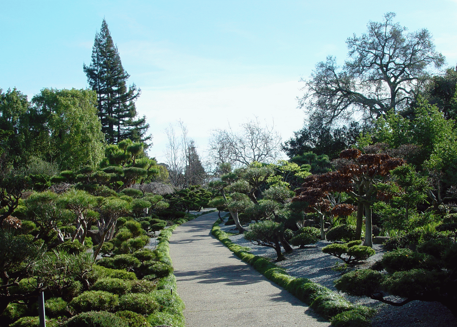 Eden By The Bay Hayward Japanese Garden