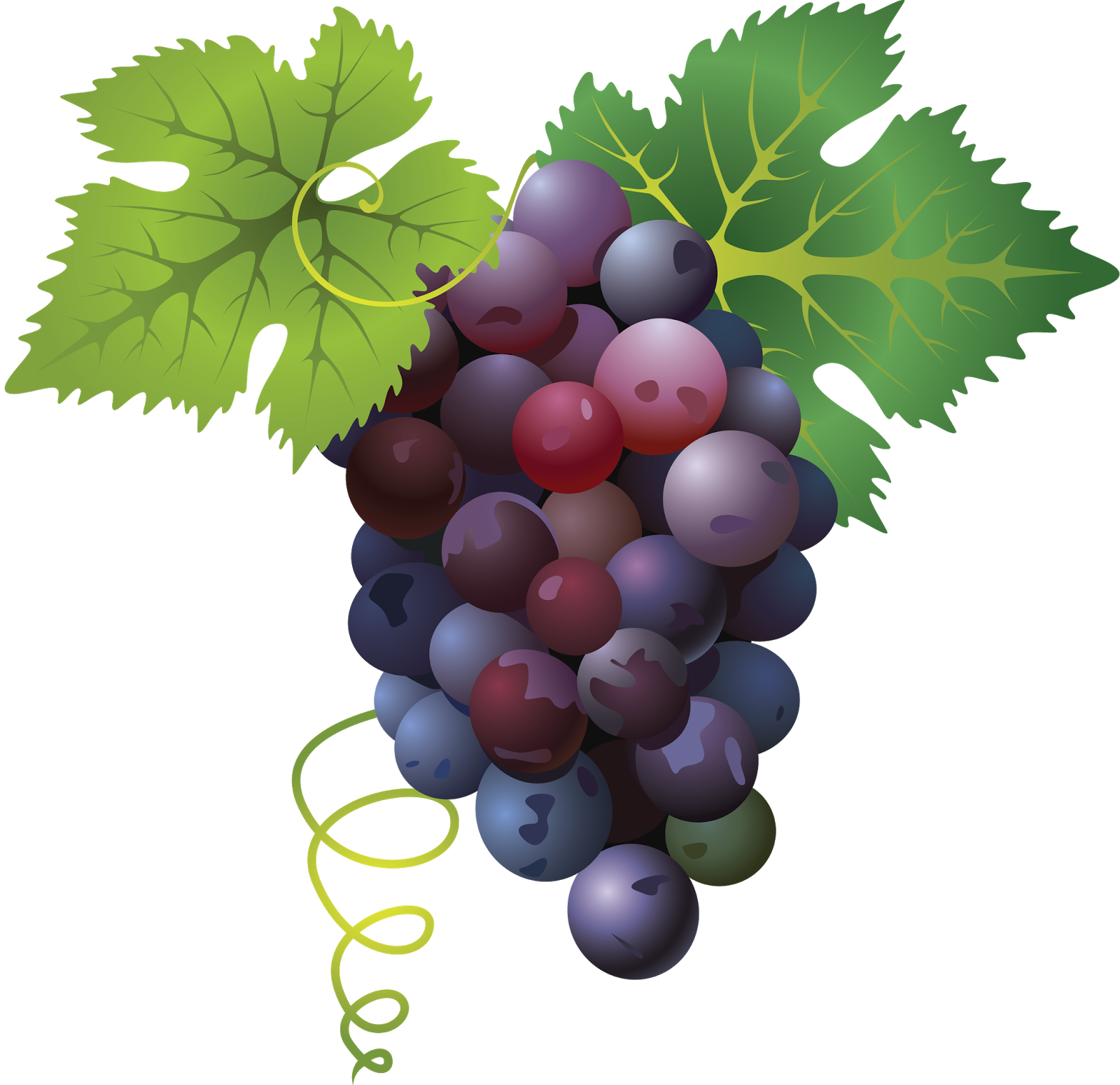 Виноград пнг рисунок