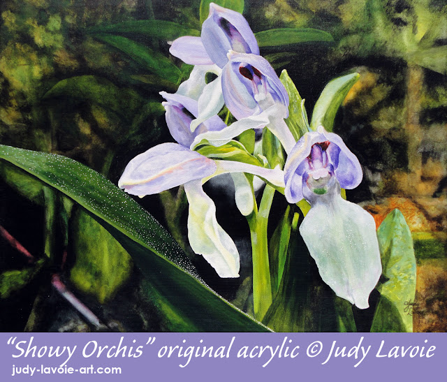 Showy Orchis Showy Orchis acrylic painting by Judy Lavoie