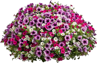 Arbusto Con Flores Png - PNG Image Collection