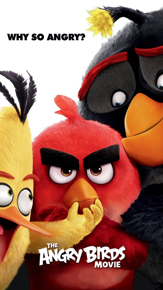 Angry Birds Movie Poster Galaxy Note HD Wallpaper