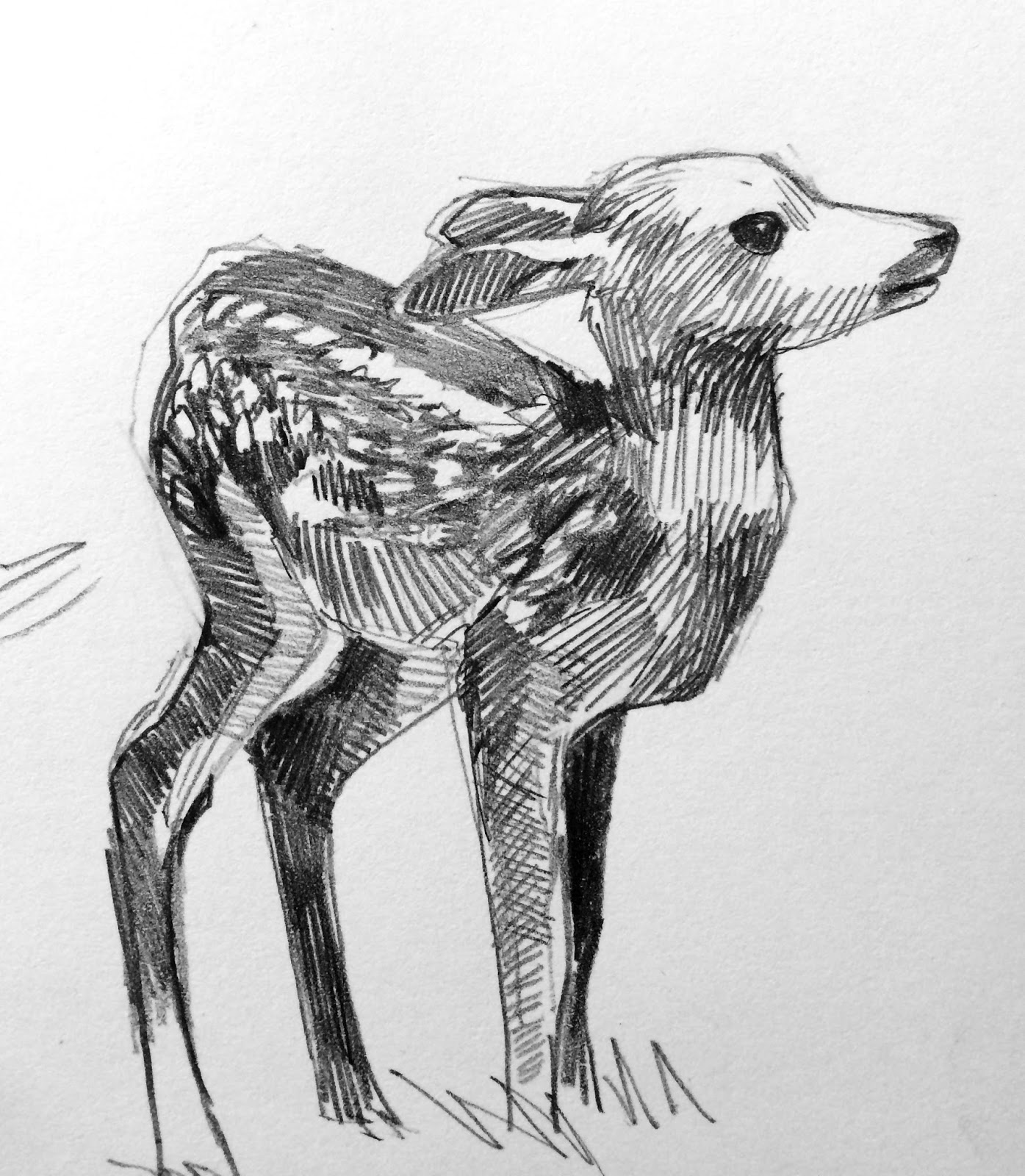 Blores Com Vienna Museums Tourist Attractions Photos