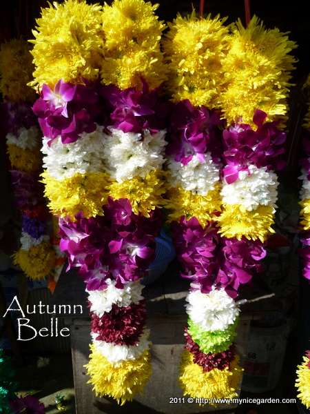 Sometimes Sweet Tattoo Tuesday V 71