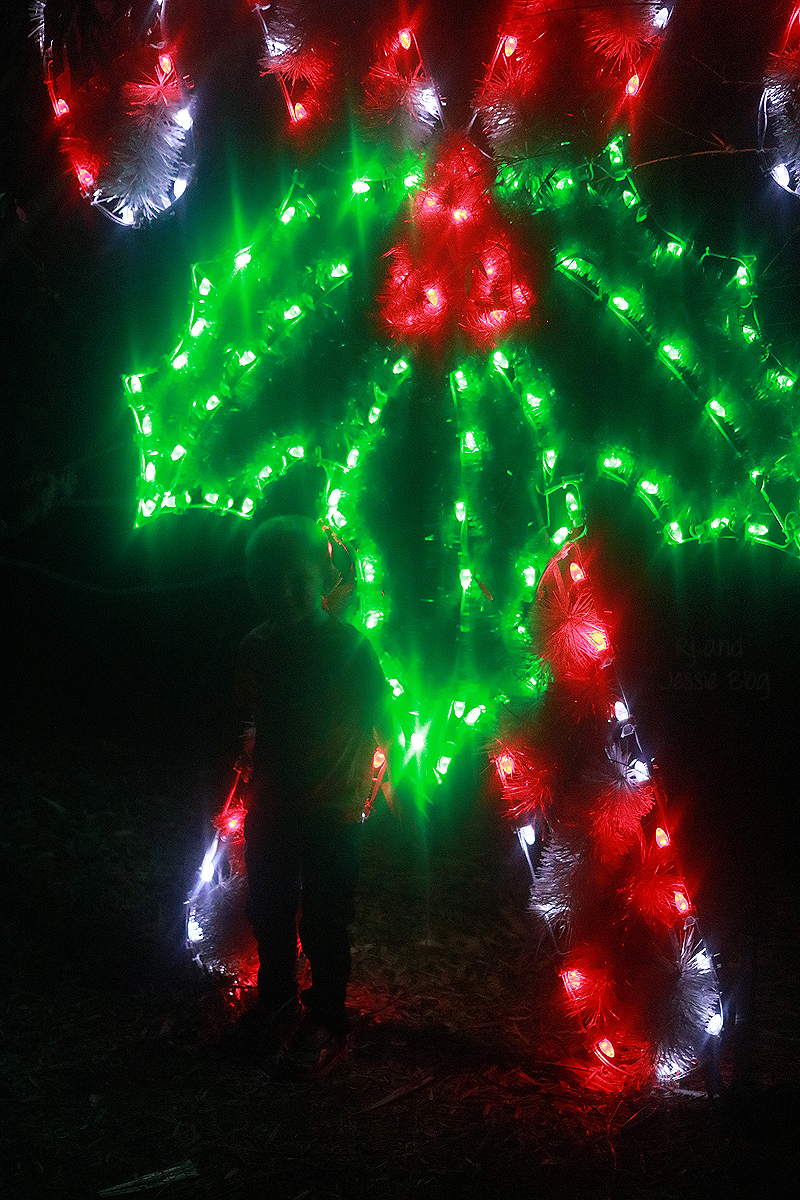 Zoo Lights at Jacksonville Zoo 2016